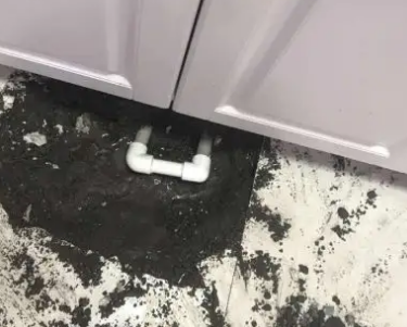 莱州查漏水哪家好